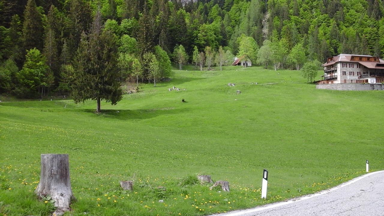 Hotel Pradibosco Agrituristico Sauris di Sopra Exterior photo